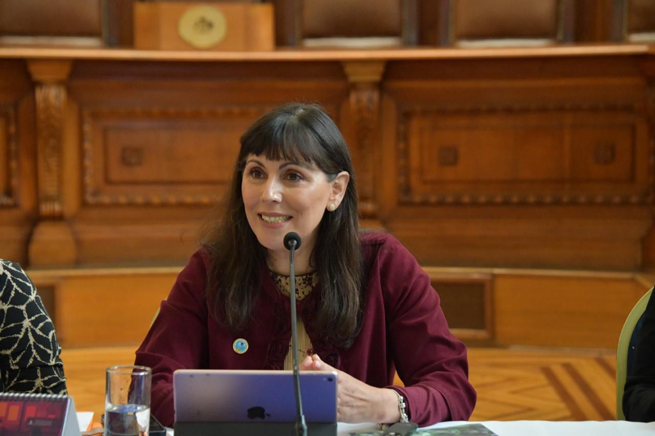 Abogada Ángela Arenas expone en la Corte Suprema sobre violencia de género en mujeres mayores